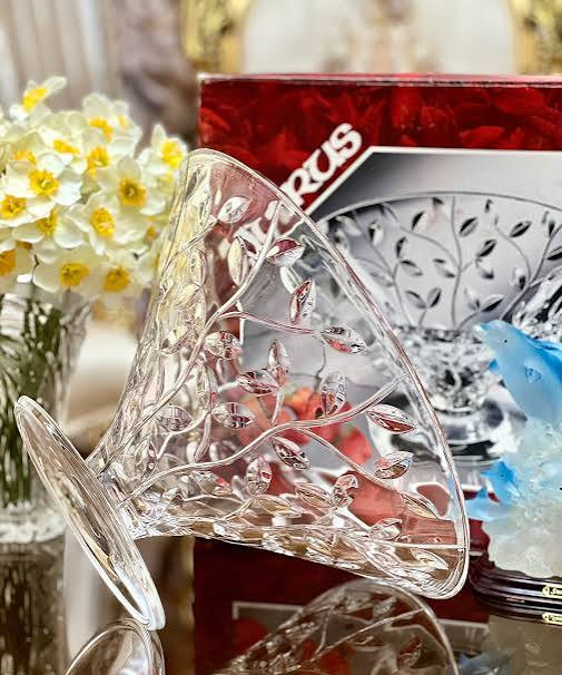 میوه خوری لاروس مخروطی